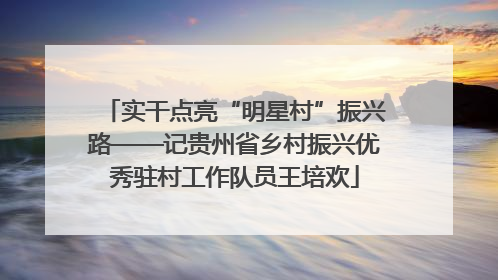 实干点亮“明星村”振兴路——记贵州省乡村振兴优秀驻村工作队员王培欢