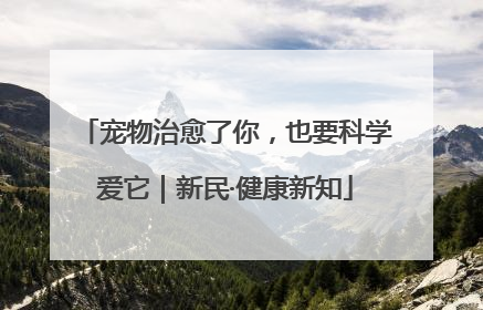 宠物治愈了你，也要科学爱它｜新民·健康新知