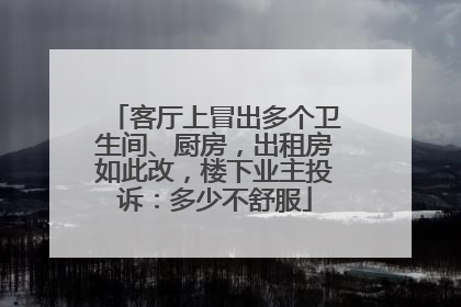 客厅上冒出多个卫生间、厨房，出租房如此改，楼下业主投诉：多少不舒服