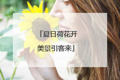 夏日荷花开 美景引客来