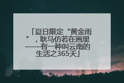 夏日限定“黄金雨”，耿马仿若在画里——有一种叫云南的生活之365天
