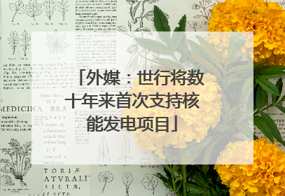 外媒：世行将数十年来首次支持核能发电项目