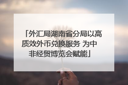外汇局湖南省分局以高质效外币兑换服务 为中非经贸博览会赋能