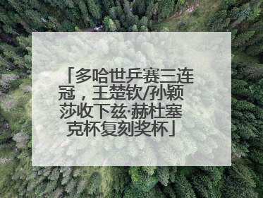 多哈世乒赛三连冠，王楚钦/孙颖莎收下兹·赫杜塞克杯复刻奖杯