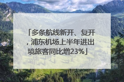多条航线新开、复开，浦东机场上半年进出境旅客同比增23%