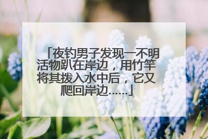夜钓男子发现一不明活物趴在岸边，用竹竿将其拨入水中后，它又爬回岸边……
