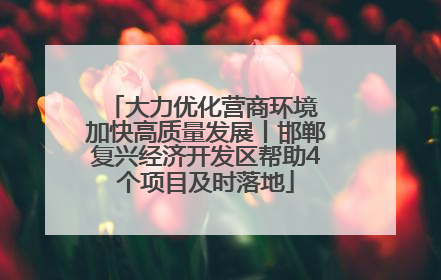 大力优化营商环境 加快高质量发展丨邯郸复兴经济开发区帮助4个项目及时落地
