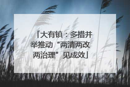 大有镇：多措并举推动“两清两改两治理”见成效