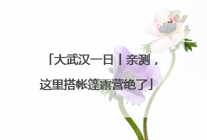 大武汉一日丨亲测，这里搭帐篷露营绝了