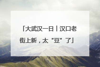 大武汉一日︱汉口老街上新，太“豆”了