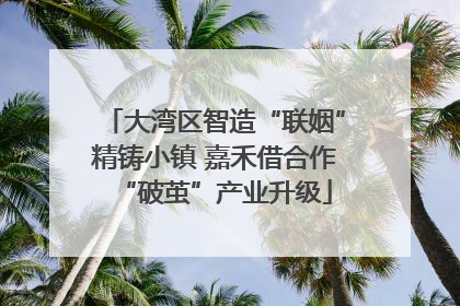 大湾区智造“联姻”精铸小镇 嘉禾借合作“破茧”产业升级