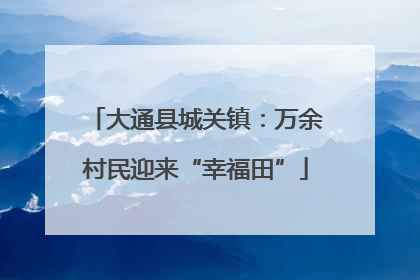 大通县城关镇：万余村民迎来“幸福田”