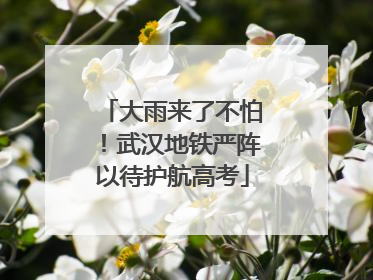 大雨来了不怕！武汉地铁严阵以待护航高考