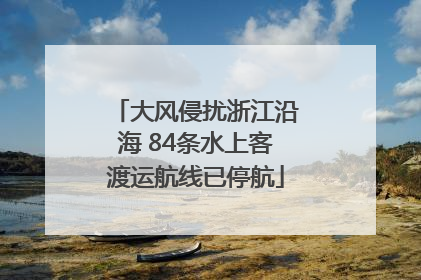 大风侵扰浙江沿海 84条水上客渡运航线已停航