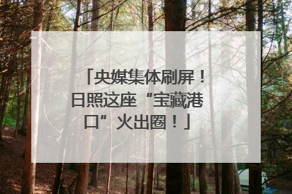 央媒集体刷屏！日照这座“宝藏港口”火出圈！