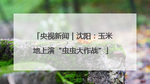 央视新闻｜沈阳：玉米地上演“虫虫大作战”
