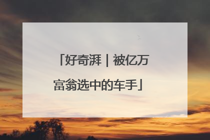 好奇湃｜被亿万富翁选中的车手