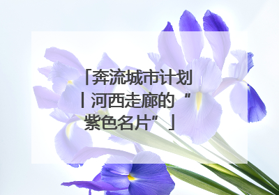 奔流城市计划丨河西走廊的“紫色名片”