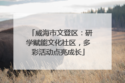 威海市文登区：研学赋能文化社区，多彩活动点亮成长