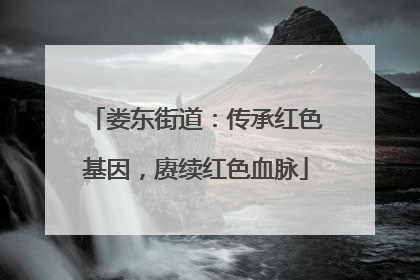 娄东街道：传承红色基因，赓续红色血脉