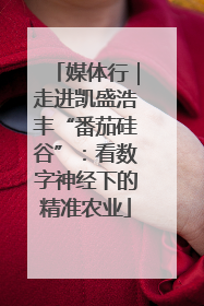 媒体行｜走进凯盛浩丰“番茄硅谷”：看数字神经下的精准农业