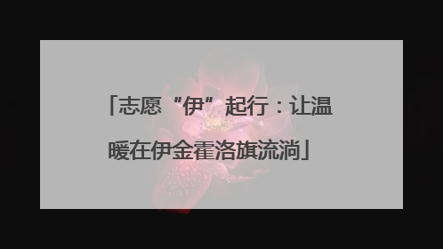 志愿“伊”起行：让温暖在伊金霍洛旗流淌
