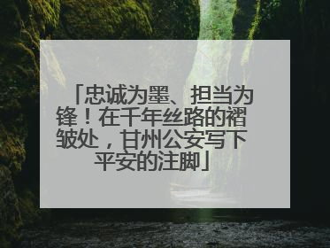 忠诚为墨、担当为锋！在千年丝路的褶皱处，甘州公安写下平安的注脚
