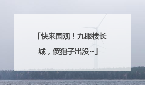 快来围观！九眼楼长城，傻狍子出没~