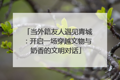 当外籍友人遇见青城：开启一场穿越文物与奶香的文明对话