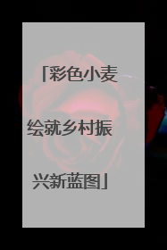 彩色小麦绘就乡村振兴新蓝图