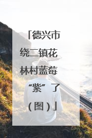 德兴市绕二镇花林村蓝莓“紫”了（图）