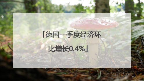 德国一季度经济环比增长0.4%