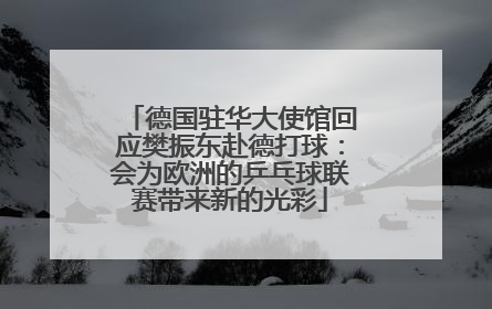 德国驻华大使馆回应樊振东赴德打球：会为欧洲的乒乓球联赛带来新的光彩