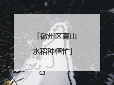 徽州区高山水稻种植忙