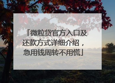 微粒贷官方入口及还款方式详细介绍，急用钱周转不用慌