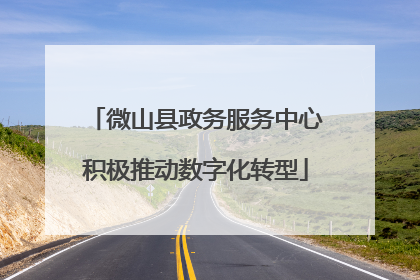 微山县政务服务中心积极推动数字化转型