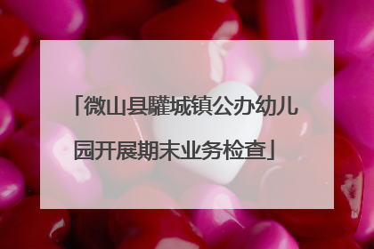 微山县驩城镇公办幼儿园开展期末业务检查