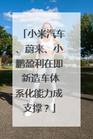 小米汽车、蔚来、小鹏盈利在即 新造车体系化能力成支撑？