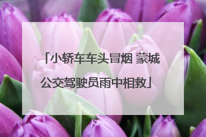 小轿车车头冒烟 蒙城公交驾驶员雨中相救