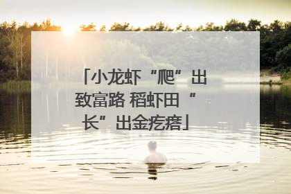 小龙虾“爬”出致富路 稻虾田“长”出金疙瘩