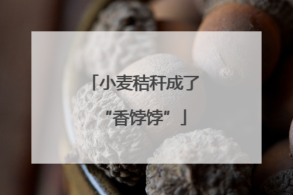 小麦秸秆成了“香饽饽”
