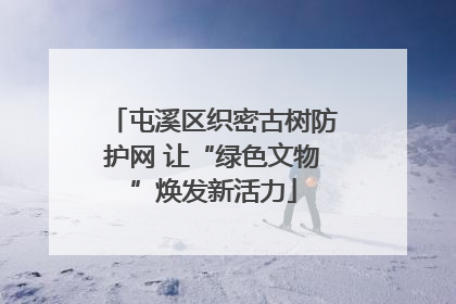 屯溪区织密古树防护网 让“绿色文物”焕发新活力