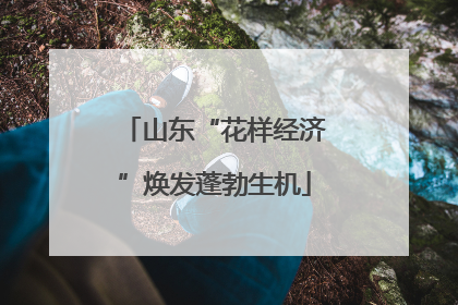 山东“花样经济”焕发蓬勃生机