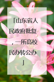 山东省人民政府批复，一所高校民办转公办