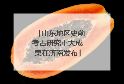 山东地区史前考古研究重大成果在济南发布