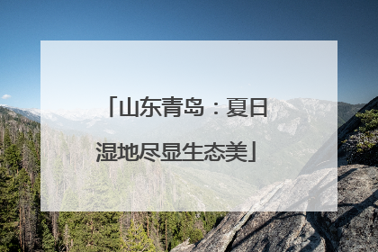 山东青岛：夏日湿地尽显生态美