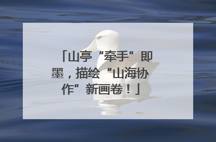 山亭“牵手”即墨，描绘“山海协作”新画卷！
