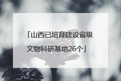 山西已培育建设省级文物科研基地26个