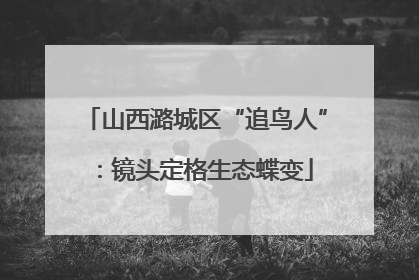 山西潞城区“追鸟人”：镜头定格生态蝶变