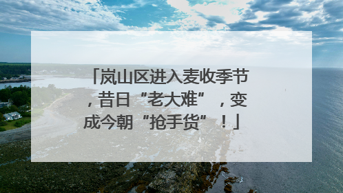 岚山区进入麦收季节，昔日“老大难”，变成今朝“抢手货”！